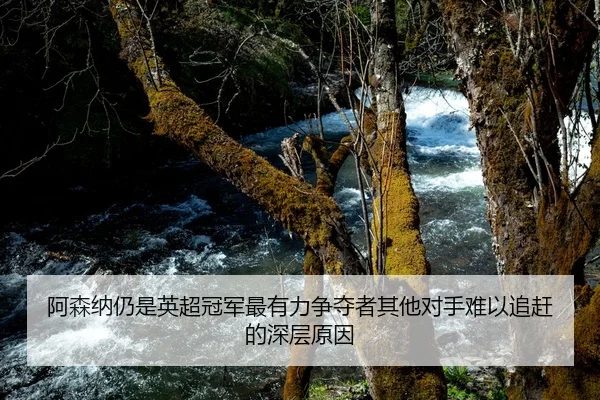 阿森纳仍是英超冠军最有力争夺者其他对手难以追赶的深层原因